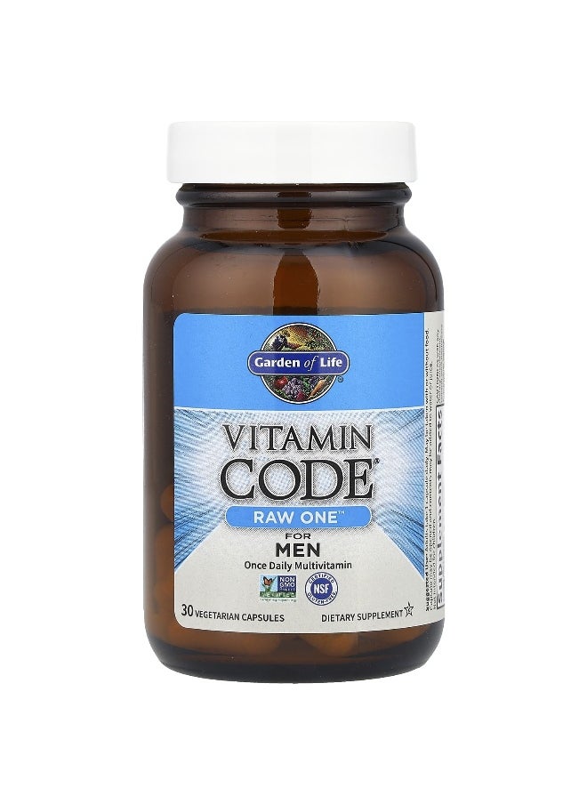 Garden of Life Garden of Life, Vitamin Code, Raw One For Men Once Daily Multivitamin, 30 Vegetarian Capsules  - Image 3