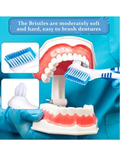 WLLHYF WLLHYF 12 Pcs Denture Brush for False Teeth Denture Care Cleaning Brush Double Sided Toothbrush Portable Soft Multi-Layered Bristles Cleaner Brush Ergonomic Rubber Handle  - Image 3