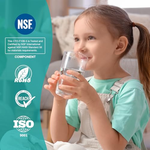 SimPure 5 Micron 10 x 4.5 Inch Whole House Carbon Water Filter | CTO Activated Coconut Carbon Replacement Cartridge | Fits DB10P, DB10C-2, GE GXWH40L, GXWH35F, BB10, FXHTC, FC15B (2Pack) - Image 4