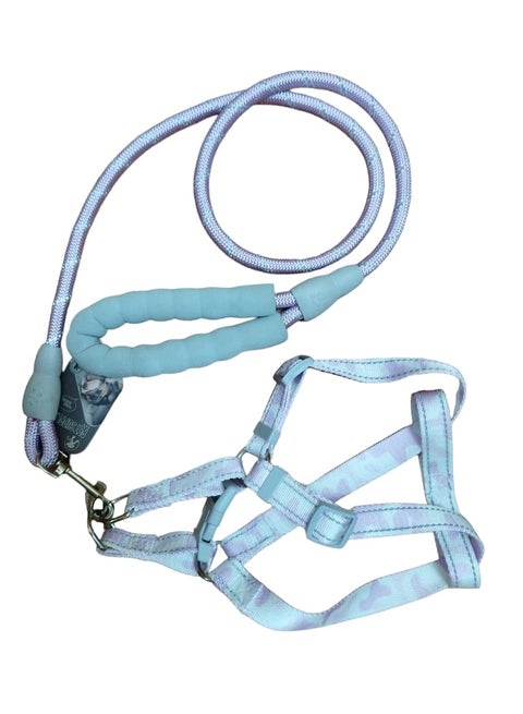 Dog Collar and Leash, Heavy Duty Paracord Rope Dog Training Collar and Leash, Soft to the Skin for Small, Medium and Large Dogs (Size L)