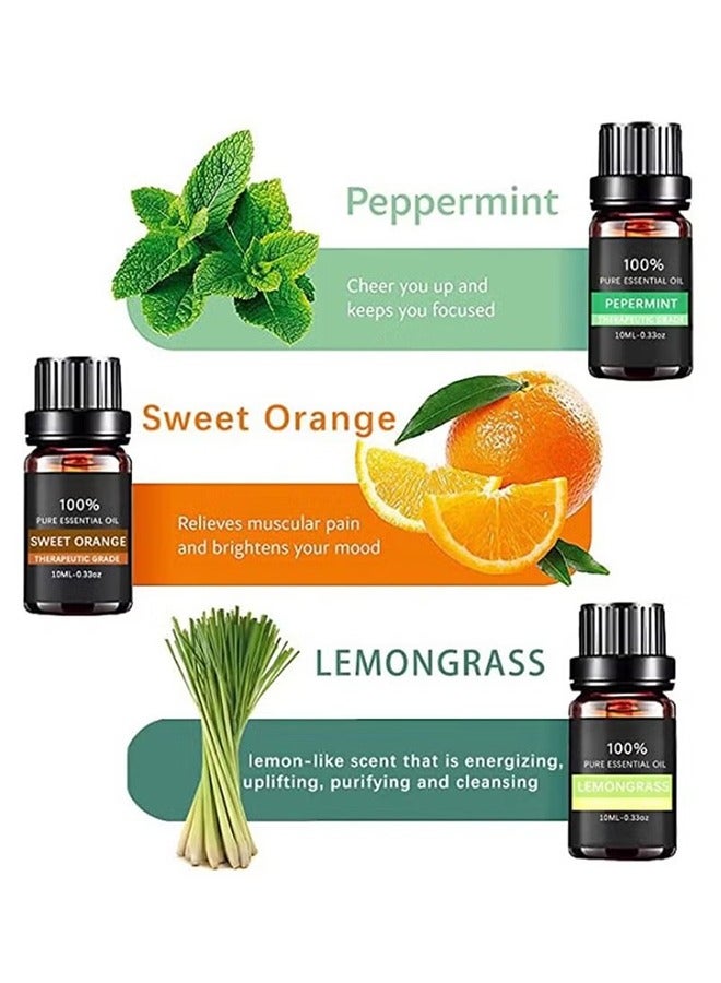 مجموعة هدايا من الزيوت العطرية العطرية النقية 100% مكونة من 6 عبوات من الدرجة العلاجية - Image 4