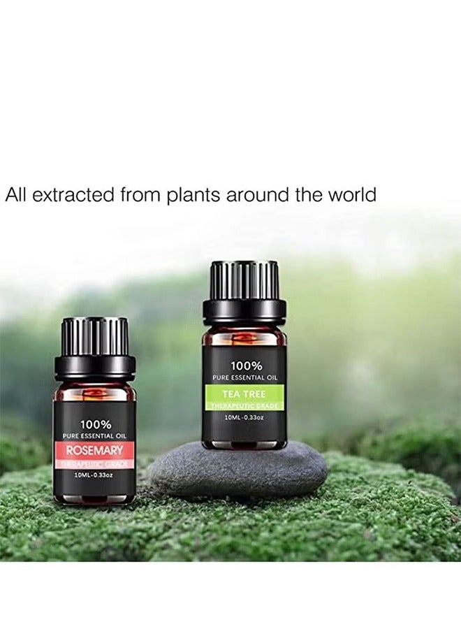 مجموعة هدايا من الزيوت العطرية العطرية النقية 100% مكونة من 6 عبوات من الدرجة العلاجية - Image 5