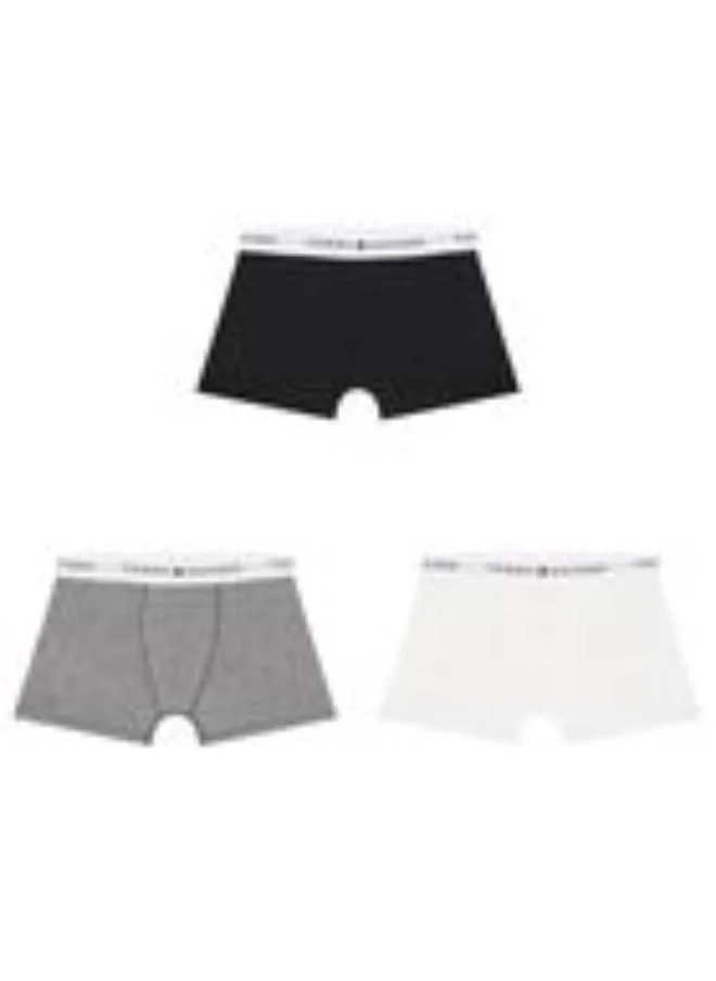TOMMY HILFIGER Kids 3 Pack Logo Band Trunks