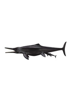 Egl Collecta Temnodontosaurus Platyodon