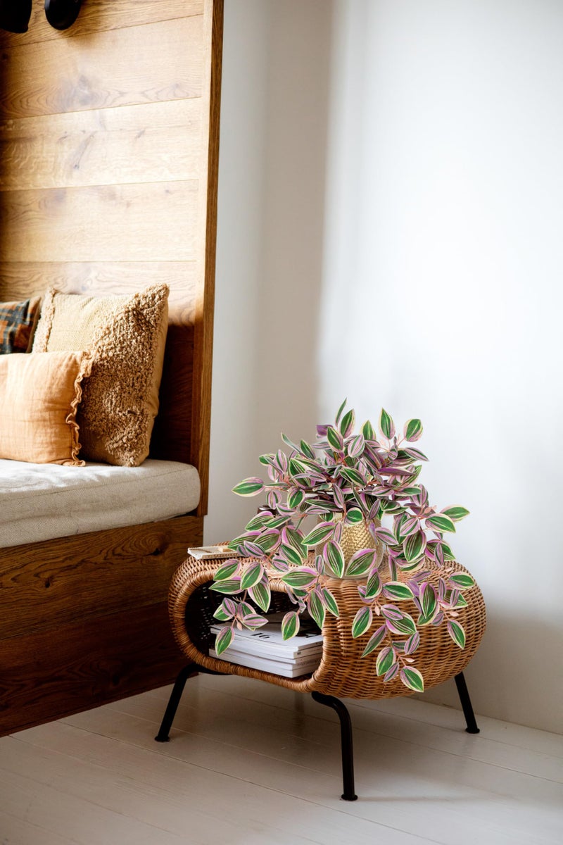 Briful Faux Plants Indoor 17.7in Fake Watermelon Peperomia Plant in Gold Pot with Realistic Silk Pink Leaves Artificial Potted Plant for Home Office Table Shelf Desk Modern Room Decor - Image 5