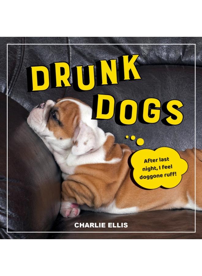 Drunk Dogs : Hilarious Pics of Plastered Pups 