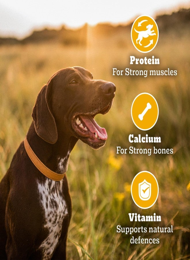 Pedigree Biscrok Biscuits (Above 4 Months) Dog Treats, Chicken with Milk Flavour, 500 g, Source of Calcium, Goodness of 15% Protein - Image 4