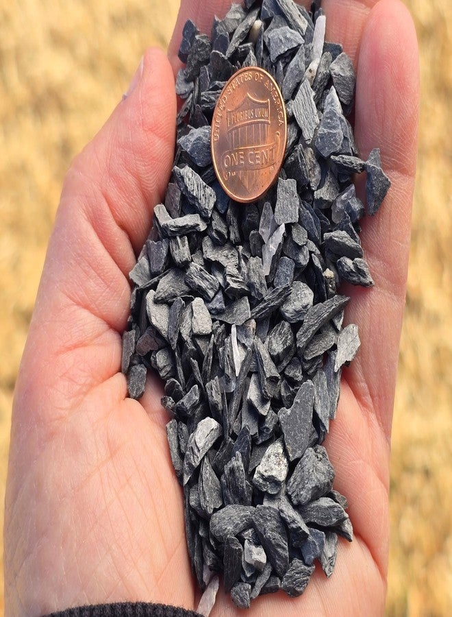 Small World Slate & Stone حصى حجر الأردواز الطبيعي من 1/8 إلى 1/4 بوصة - مصدره وتعبئته من الولايات المتحدة الأمريكية، مناسب لقواعد النماذج، وألعاب الحرب، وفن الفسيفساء الحجرية، والحرف اليدوية، وأشجار البونساي، والنباتات العصارية، والحدائق المصغرة أو حدائق الجنيات، وأحواض السمك (1 رطل) - Image 2