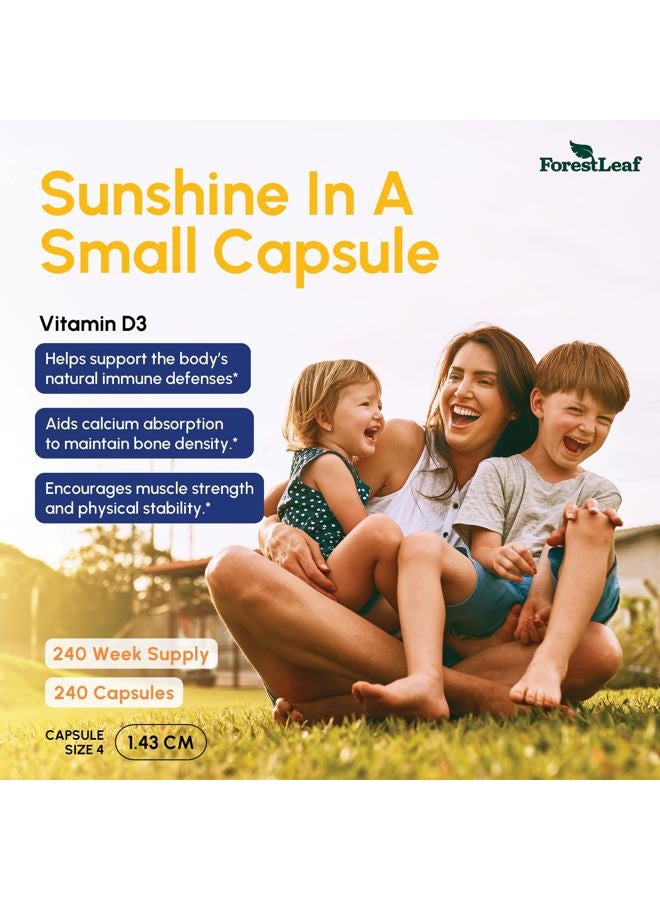 ForestLeaf Vitamin D3 50,000 IU | VIT D - VIT D3 Vitamin D Supplement for Women and Men | Bone Health, Teeth, Immune Support | Easy to Swallow Pills | High Potency WEEKLY Dose, 4-Year Supply, 240 Caps - Image 2