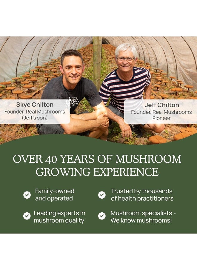Real Mushrooms - Real Mushrooms Turkey Tail Capsules - Organic Mushroom Supplement with Potent Turkey Tail Mushroom Extract for Gut, Energy, Brain, & Immune Support - Vegan Mushroom Extract, Non-GMO, 90 Caps - Image 1