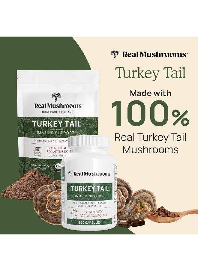 Real Mushrooms - Real Mushrooms Turkey Tail Capsules - Organic Mushroom Supplement with Potent Turkey Tail Mushroom Extract for Gut, Energy, Brain, & Immune Support - Vegan Mushroom Extract, Non-GMO, 90 Caps - Image 1