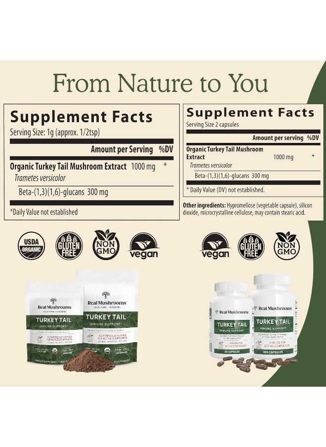 Real Mushrooms - Real Mushrooms Turkey Tail Capsules - Organic Mushroom Supplement with Potent Turkey Tail Mushroom Extract for Gut, Energy, Brain, & Immune Support - Vegan Mushroom Extract, Non-GMO, 90 Caps - Image 1
