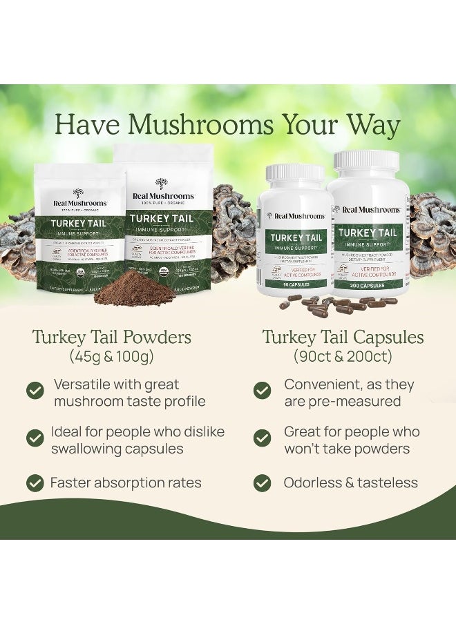 Real Mushrooms - Real Mushrooms Turkey Tail Capsules - Organic Mushroom Supplement with Potent Turkey Tail Mushroom Extract for Gut, Energy, Brain, & Immune Support - Vegan Mushroom Extract, Non-GMO, 90 Caps - Image 1