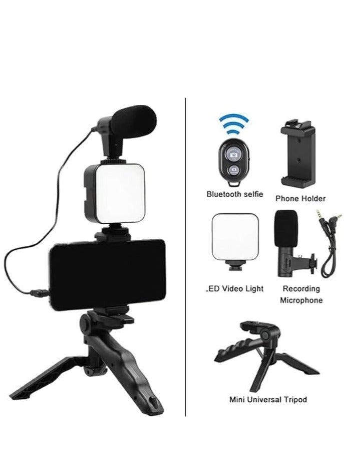Plokama PK-771 - Application Scenarios - Video Recording Kit for Video Shooting for Any Mobile Phone or Digital Camera with LED Light Microphone and Phone Holder - Black - https://f.nooncdn.com/p/pzsku/ZBC9F1121D360AEE3CCEAZ/45/1755520633/24d82730-0e74-435a-8614-17364da3c6ef.jpg
