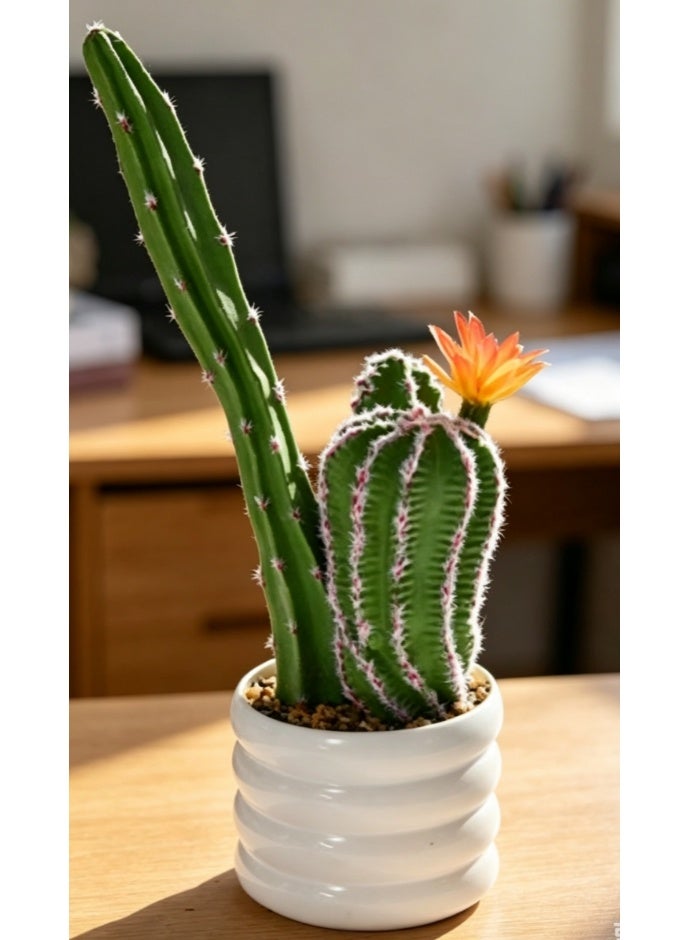 OASIS-TH Artificial Cactus 35CM Fake Cactus Faux Cacti Potted Plants for Indoor Home Garden Office Decoration - Image 1