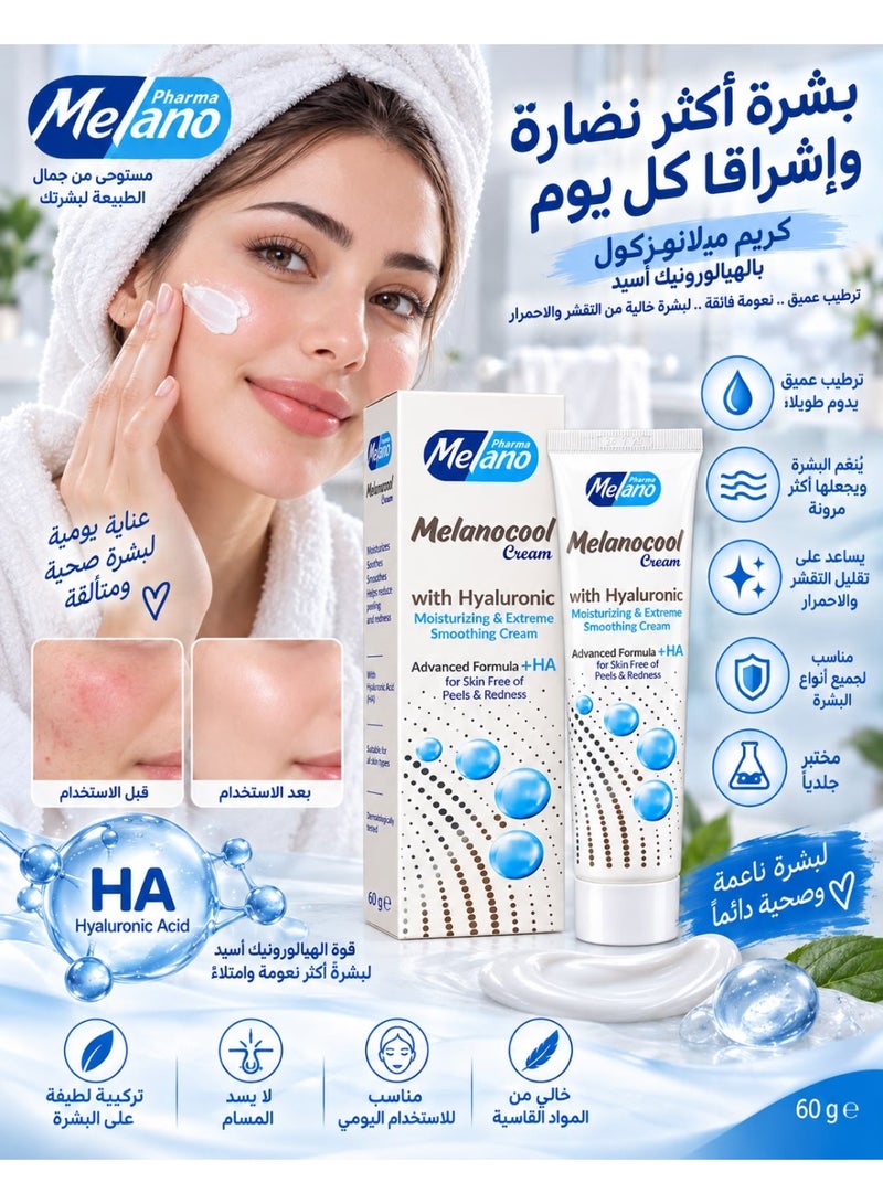 Melano Pharma Melano Cool Moisturizing Cream 60 gm - Image 3