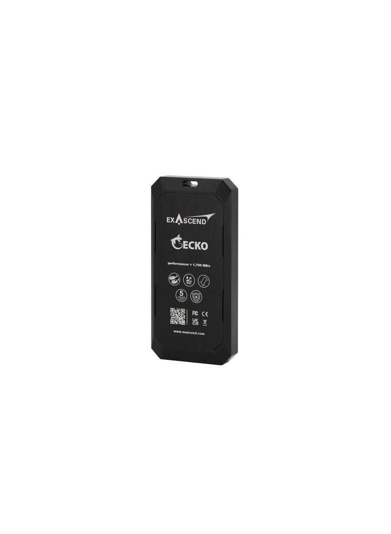 Exascend 4TB Gecko Portable SSD 20Gbps IP67 USB 3.2 Gen 2x2 - Image 1