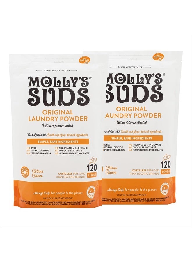 MOLLY'S SUDS Original Laundry Detergent Powder | Natural Laundry Detergent Powder for Sensitive Skin | Earth-Derived Ingredients, Stain Fighting | 240 Loads (Citrus Grove)  - Image 1