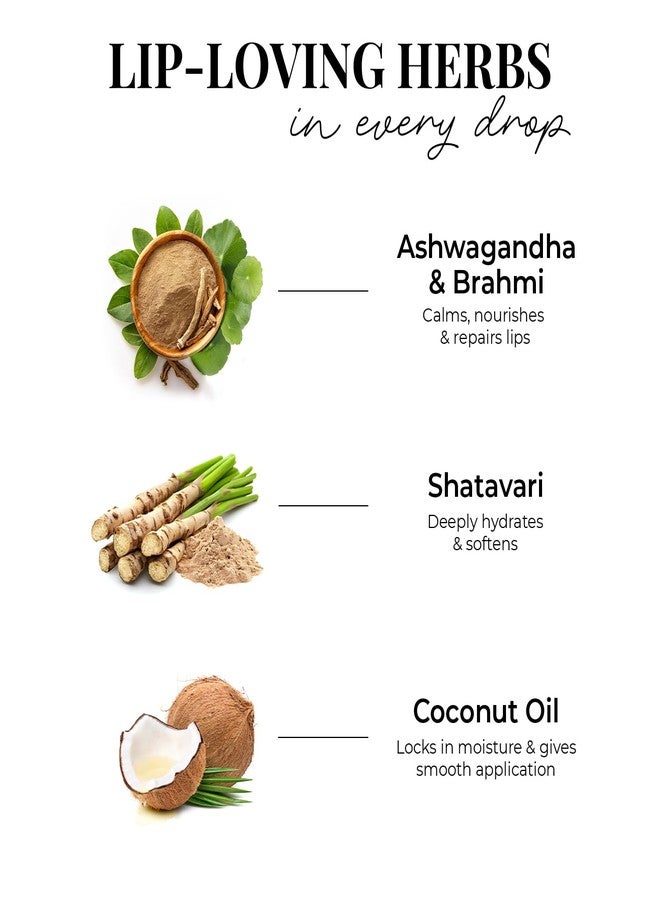 جاست هيربز أحمر شفاه سائل مطفي غني بالأعشاب من جست هيربس | مجموعة من 4 قطع | أحمر شفاه أيورفيدي للنساء | مرطب وخفيف الوزن | يدوم طويلاً (ألوان نيود وبني) - Image 5