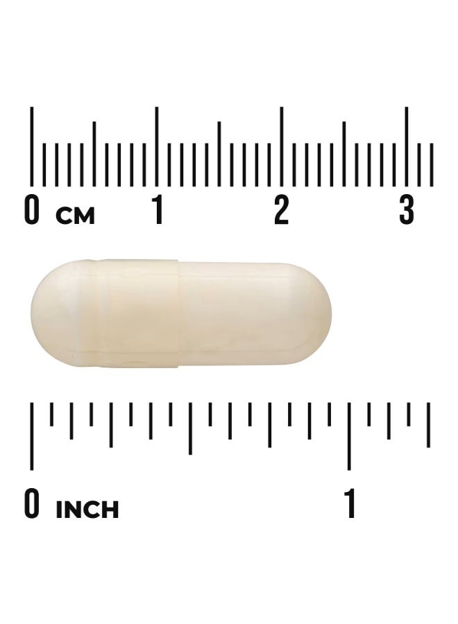 SWANSON PABA, 500 mg, 120 Capsules - Image 2