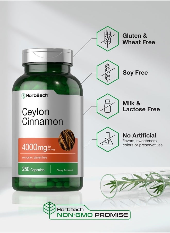 Horbaach Horbaach Ceylon Cinnamon Capsules 4000mg | 250 Count | Non-GMO, Gluten Free  - Image 5