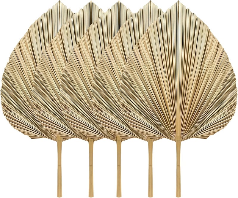 Floral Arrangements Weddings 5 Dried Natural Palm Leaves Bohemian Gold Accent Decorations Home - Image 1