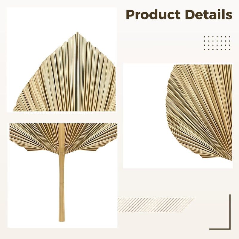 Floral Arrangements Weddings 5 Dried Natural Palm Leaves Bohemian Gold Accent Decorations Home - Image 2