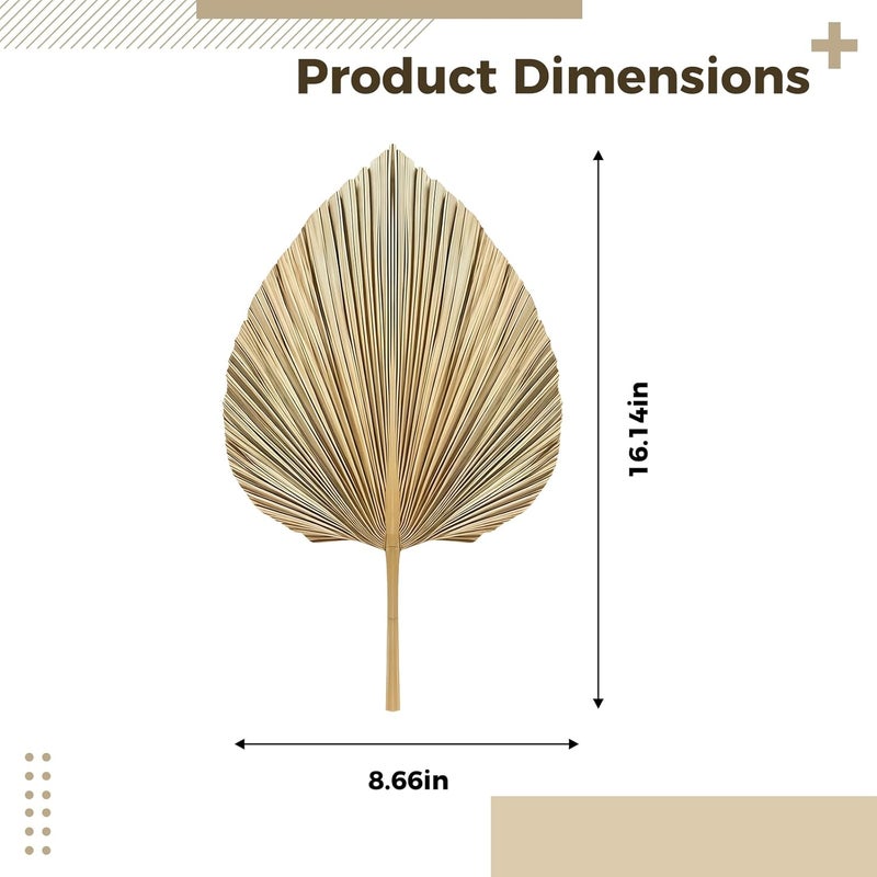 Floral Arrangements Weddings 5 Dried Natural Palm Leaves Bohemian Gold Accent Decorations Home - Image 4