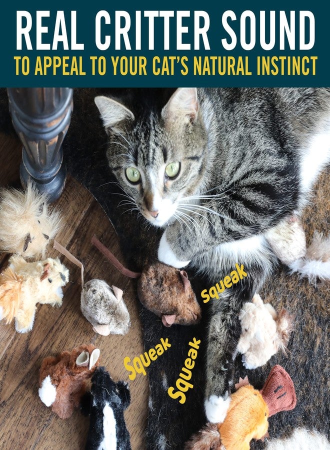 Our Pets OurPets Play-N-Squeak Mouse Hunter Cat Toys (Interactive Cat Toy & Catnip Toy with Real Mouse Electronic Sound) Perfect Toys for Indoor Cats with Catnip - Image 5