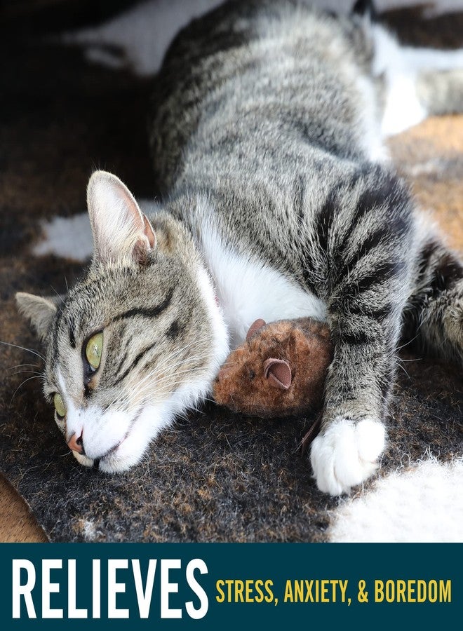 Our Pets OurPets Play-N-Squeak Mouse Hunter Cat Toys (Interactive Cat Toy & Catnip Toy with Real Mouse Electronic Sound) Perfect Toys for Indoor Cats with Catnip - Image 3