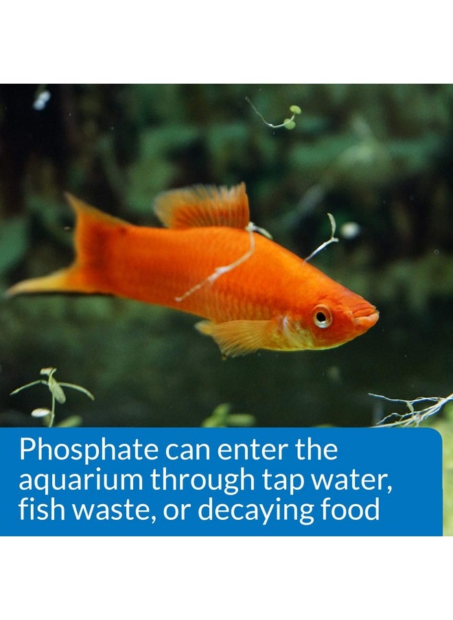 API - API Phosphate Test Kit For Freshwater And Saltwater, 64 OUNCES - Image 1