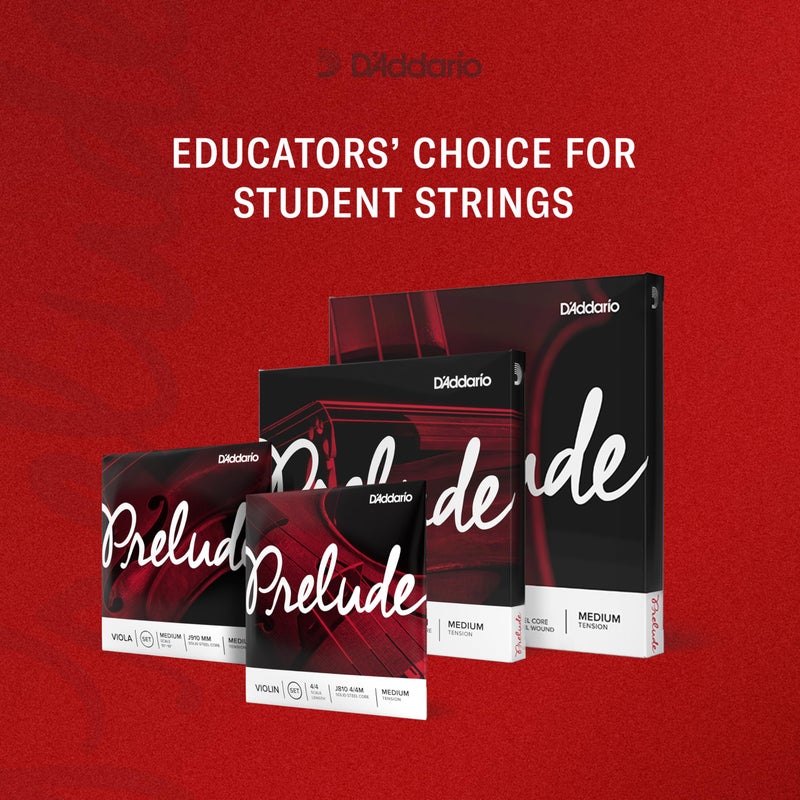 D'Addario D'Addario Prelude Violin String Set, 1/2 Scale, Medium Tension – J810 1/2M - Solid Steel Core, Warm Tone, Economical and Durable – Educator’s Choice for Student Strings – 1 Set  - Image 2