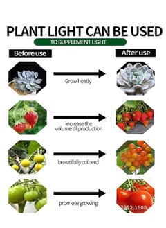 أضواء النمو للنباتات الداخلية، 50 واطًا ، 100 LED ، ضوء نمو لبدء البذور بطيف كامل ، أضواء نباتية قابلة للتثبيت بمشبك وذراع مرنة، موقت 3/6/12 ساعة ، 5 مستويات للتعتيم ، 3 أنماط للتحكم بالمفتاح. - pzsku/ZBCABDBD2F1468C217137Z/45/_/1690366890/775a56bf-7dcb-4e36-b931-c672a796e84e