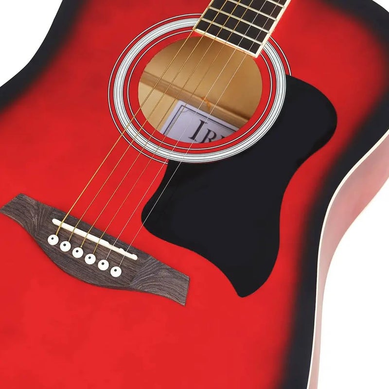 Device Of Urban Infotech حماية صوتية للجيتار ذات لاصق ذاتي على شكل طائر من قوقعة السلحفاة (أسود) - Image 4