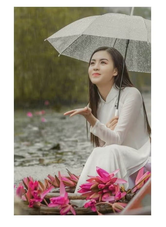 Rally Lightweight Waterproof Folding Transparent Umbrella  - Image 1