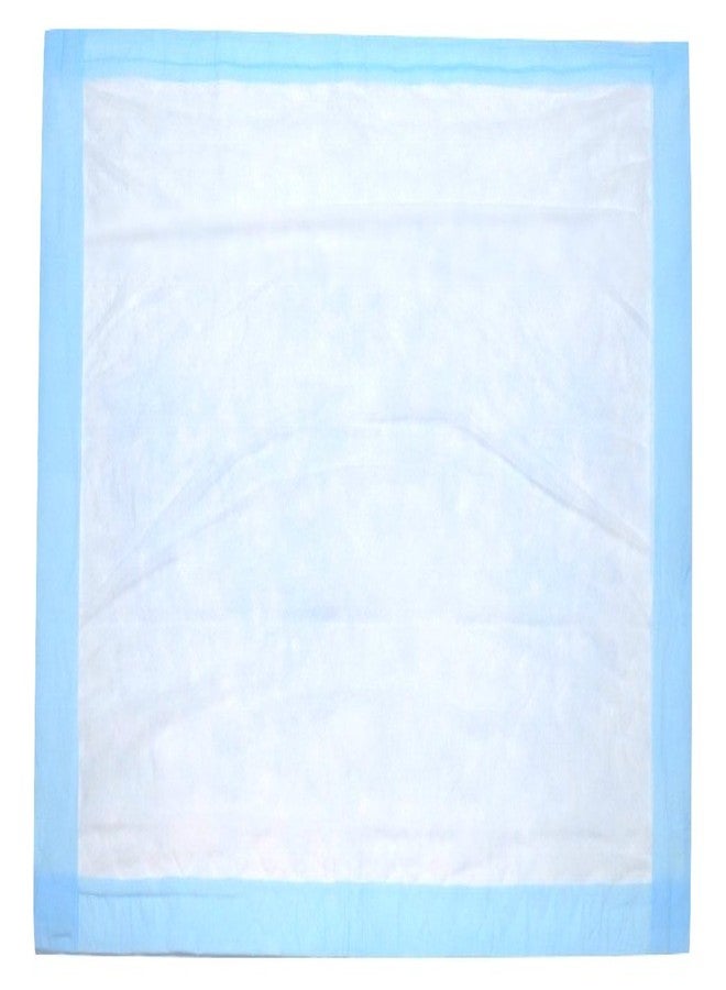 BrightCare Disposable Underpad 25 Count (Size 23Wx36L) - Bed and Chair Pad Incontinence Protector for Adult, Child, or Pets - Absorbent Waterproof Chux by BrightCare - Image 3