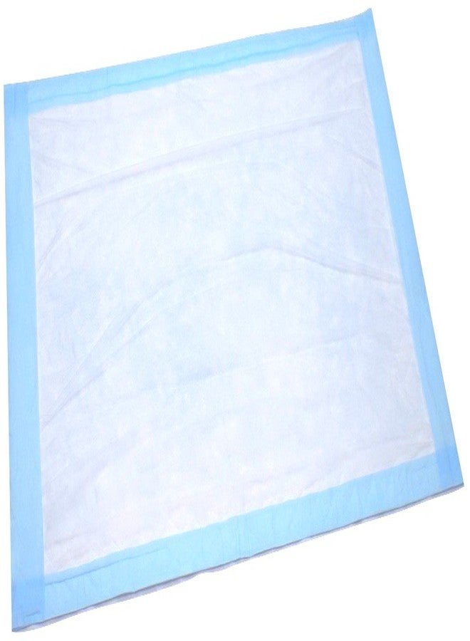 BrightCare Disposable Underpad 25 Count (Size 23Wx36L) - Bed and Chair Pad Incontinence Protector for Adult, Child, or Pets - Absorbent Waterproof Chux by BrightCare - Image 1