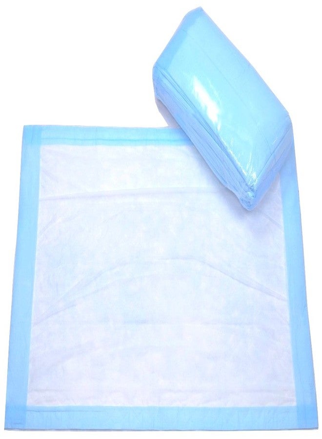 BrightCare Disposable Underpad 25 Count (Size 23Wx36L) - Bed and Chair Pad Incontinence Protector for Adult, Child, or Pets - Absorbent Waterproof Chux by BrightCare - Image 2
