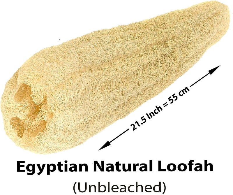 bonballoon 1 Pcs Egyptian Loofah Luffa Loffa Lofa Loofa Scrubber Natural SPA Beauty Bath Body Luxurious Premium for Skin Exfoliating 215 54 cm - Image 2
