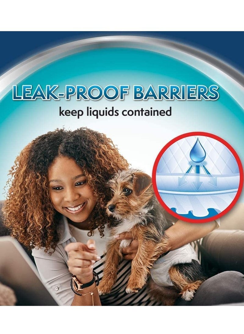 Simple Solution - 12Pc Small Improved Fit Disposable Female Dog Diapers S - Image 1