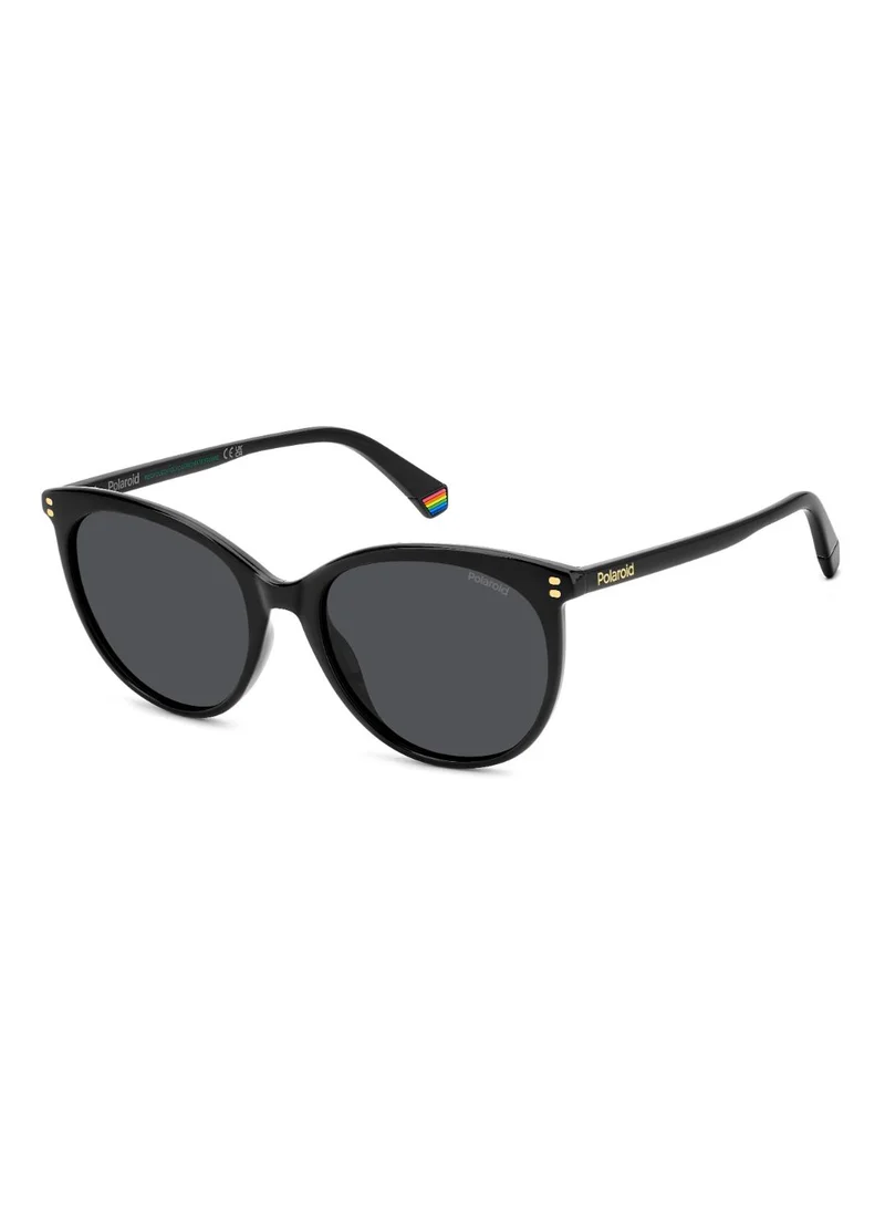 بولارويد Polaroid Sunglasses PLD 6231/S