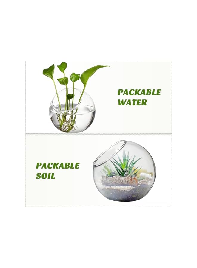 The Bros عرض زجاجي لنبات الهواء - 3 قطع من كوكب شفاف لزراعة العصارة، وعاء حلوى، مزهرية صبار، منظر ميكرو على المكتب - Image 3