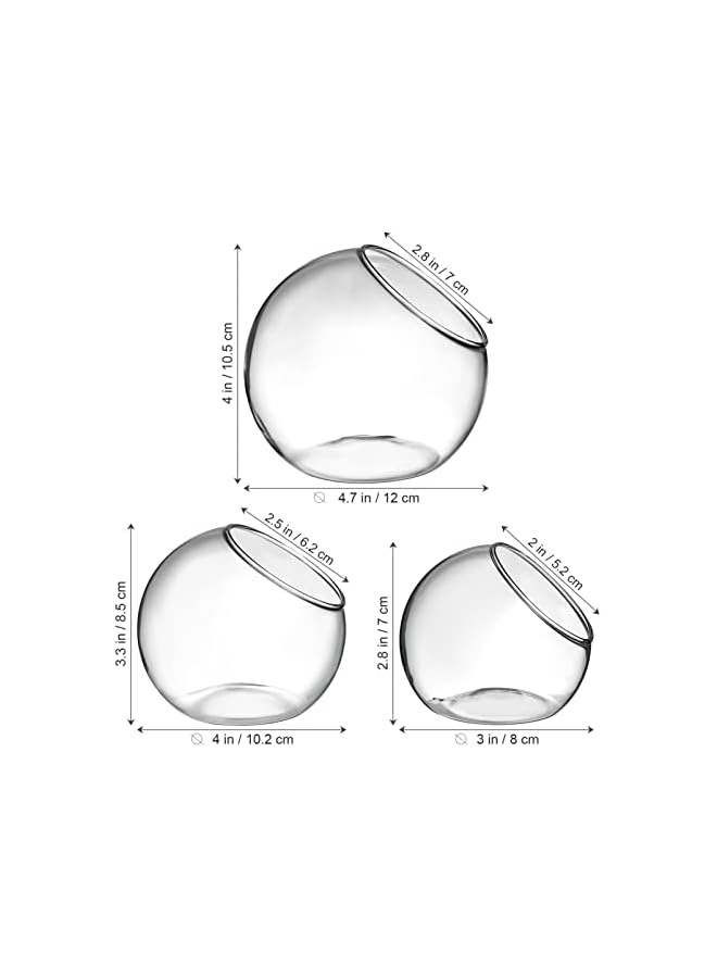 The Bros عرض زجاجي لنبات الهواء - 3 قطع من كوكب شفاف لزراعة العصارة، وعاء حلوى، مزهرية صبار، منظر ميكرو على المكتب - Image 2