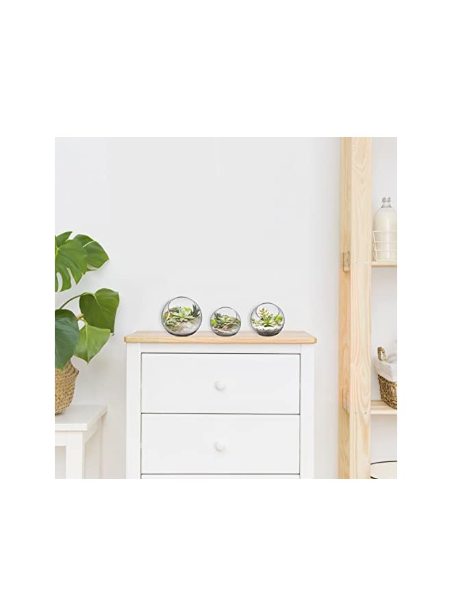 The Bros عرض زجاجي لنبات الهواء - 3 قطع من كوكب شفاف لزراعة العصارة، وعاء حلوى، مزهرية صبار، منظر ميكرو على المكتب - Image 4