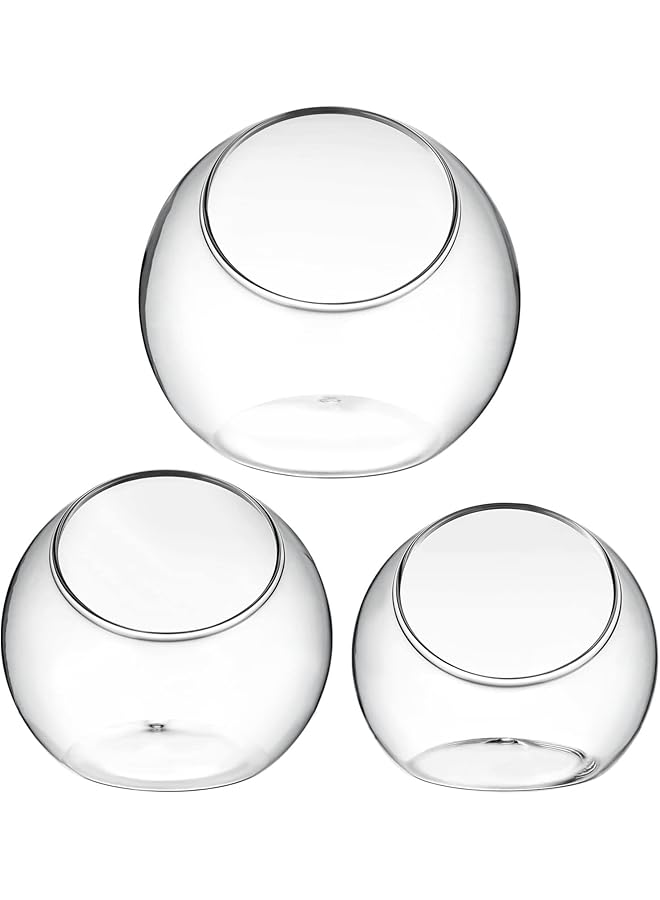 The Bros عرض زجاجي لنبات الهواء - 3 قطع من كوكب شفاف لزراعة العصارة، وعاء حلوى، مزهرية صبار، منظر ميكرو على المكتب - Image 1