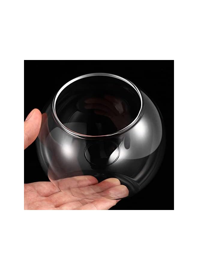 The Bros عرض زجاجي لنبات الهواء - 3 قطع من كوكب شفاف لزراعة العصارة، وعاء حلوى، مزهرية صبار، منظر ميكرو على المكتب - Image 5