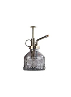 Spaceshoop Glass Plant Mister Spray Bottle, 6.5" Tall Vintage Plant Spritzer Watering Can, Succulent Watering Bottle with Top Pump, Small Plant Sprayer Mister for Indoor Outdoor House Plant  - Image 1