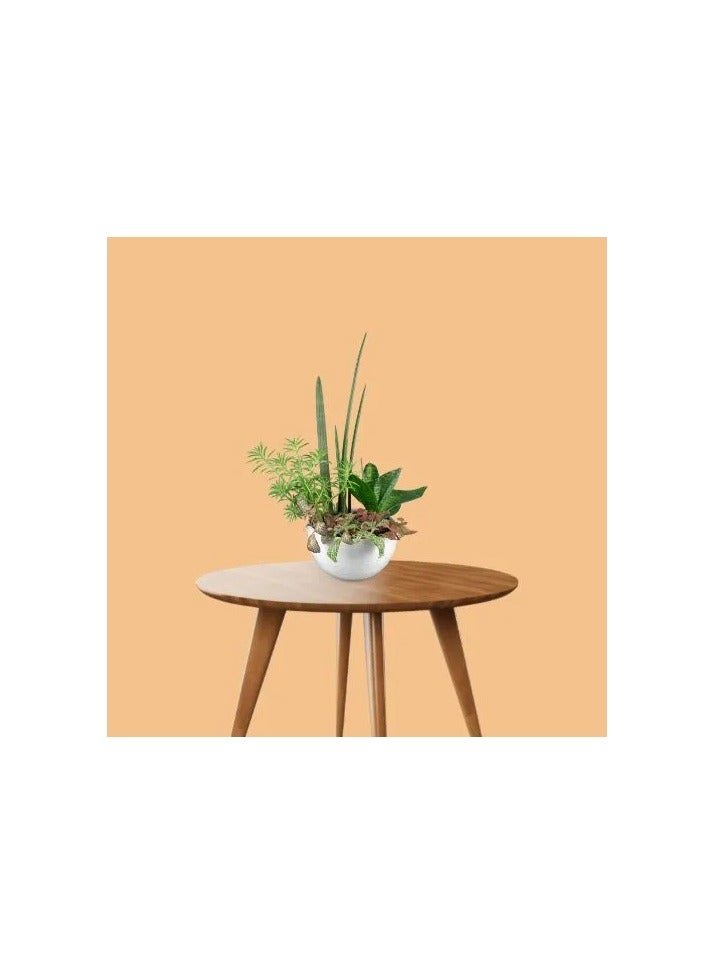 PROMAGE PM-PB26 Pongee Paper Background 2.72m x 11m Non Reflective Seamless Photography Backdrop Roll for Studio Portrait Product and Video Shooting - Image 2