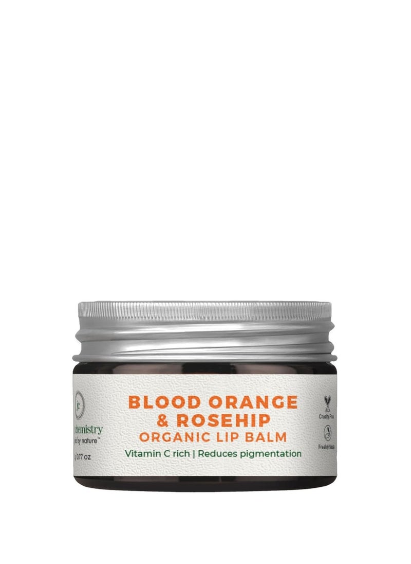 Juicy Chemistry Juicy Chemistry Blood Orange and Rosehip Lip Balm, 5g Organic Lip Balm For Dry, Chapped and Pigmented Lips, Ecocert Certified Organic For Unisex  - Image 1