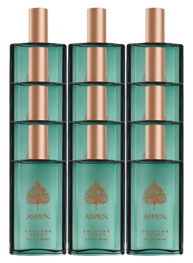 أسبن 12 قطع عطر بخاخ أسبن 118 مل - Image 1